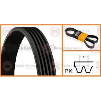 5PK1236-ELAST