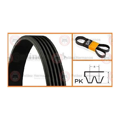 5PK1236-ELAST