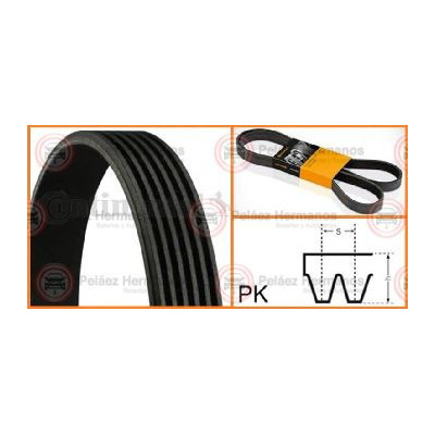 Courroie Accessoires SKF VKMV6PK1640 - Référence OEM Qualité Premium