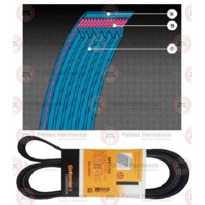 Bomba De Agua + Kit Correa Distribución CONTITECH CT957WP1 Al Mejor