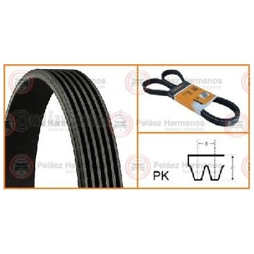 Cinghia Multi-V SKF VKMV 6PK1390 | Ricambio Auto Per Organi Ausiliari | Qualit&agrave; OEM