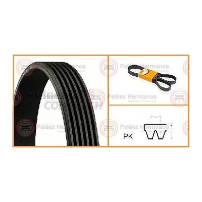 Correa De Distribución INA 6PK1735 - Compatible Con Ford Focus, Peugeot 206, Seat León Y Otros